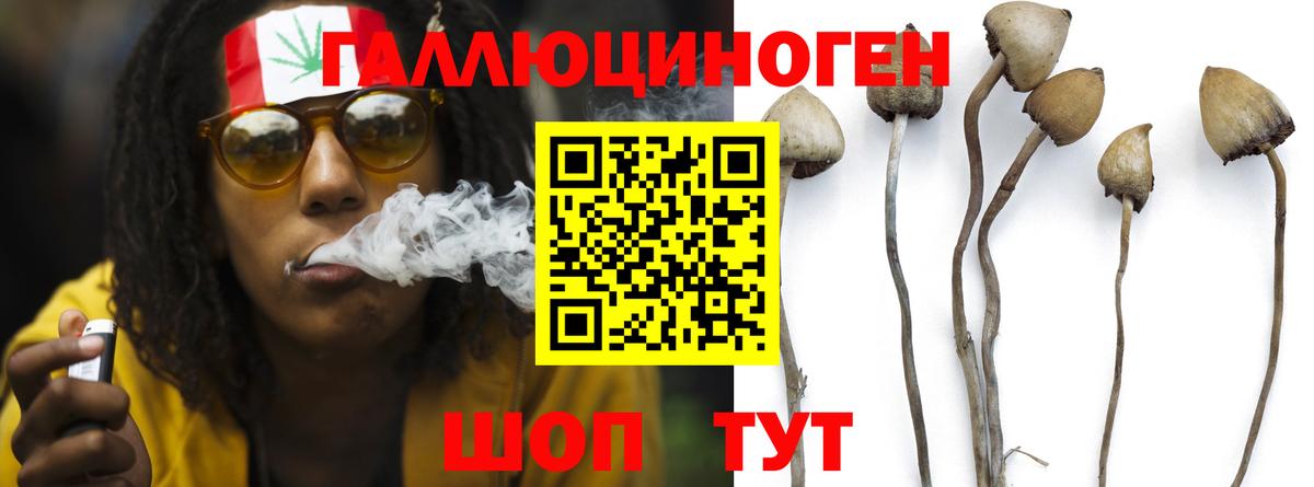 Псилоцибиновые грибы Magic Shrooms  Галлюциногенные грибы Psilocybine cubensis  купить наркотик  Вход с VPN  Красноперекопск 